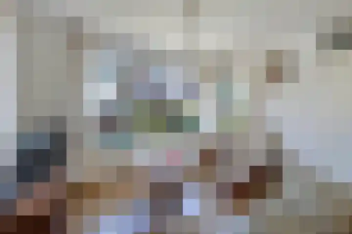 Sangerland 11 Steenwijk thumbnail 7