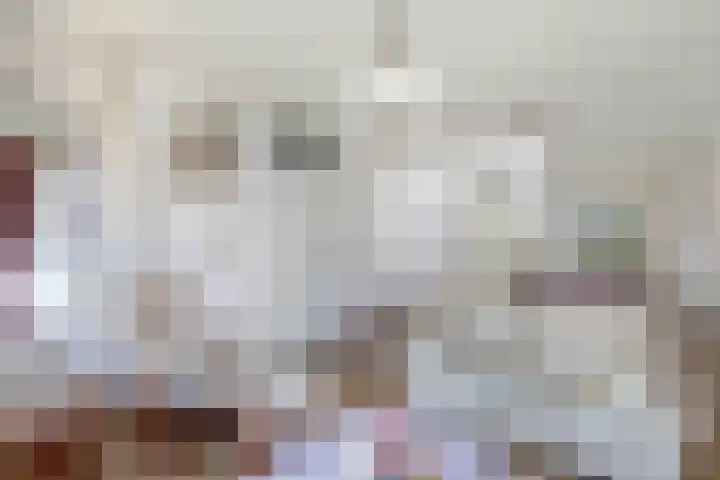 Sangerland 11 Steenwijk thumbnail 9