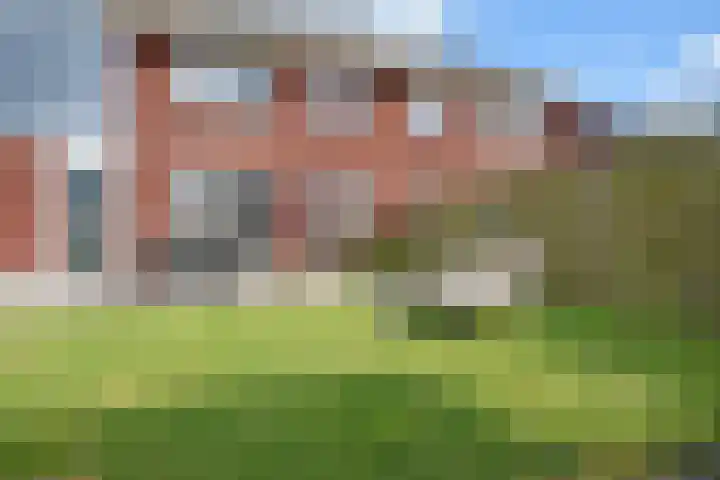 Sânhichte 25 Garyp thumbnail 10