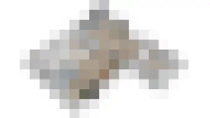 Sânhichte 25 Garyp thumbnail 11