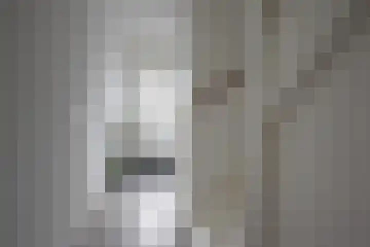 Sânhichte 25 Garyp thumbnail 12