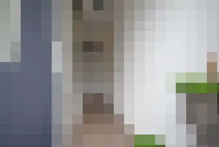 Sânhichte 25 Garyp thumbnail 14