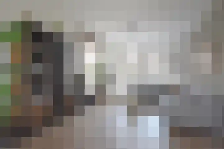 Sânhichte 25 Garyp thumbnail 15