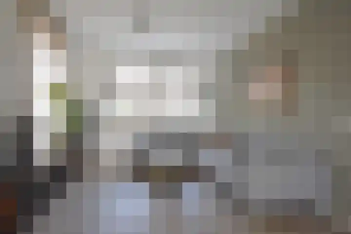 Sânhichte 25 Garyp thumbnail 16