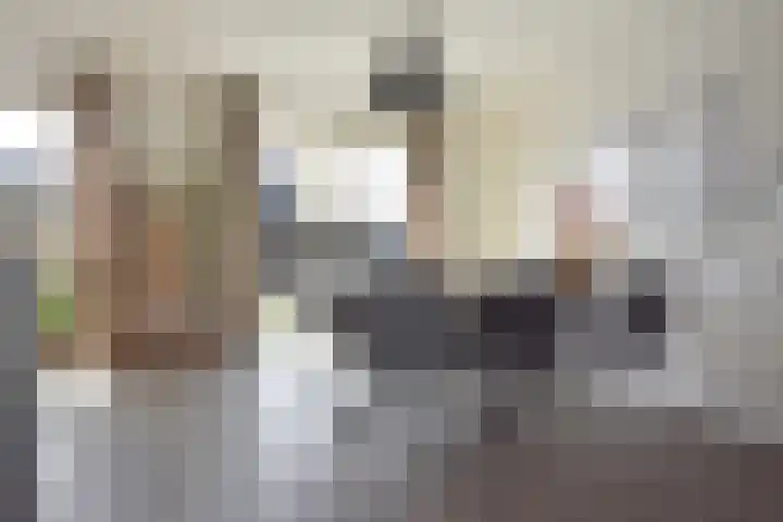 Sânhichte 25 Garyp thumbnail 18