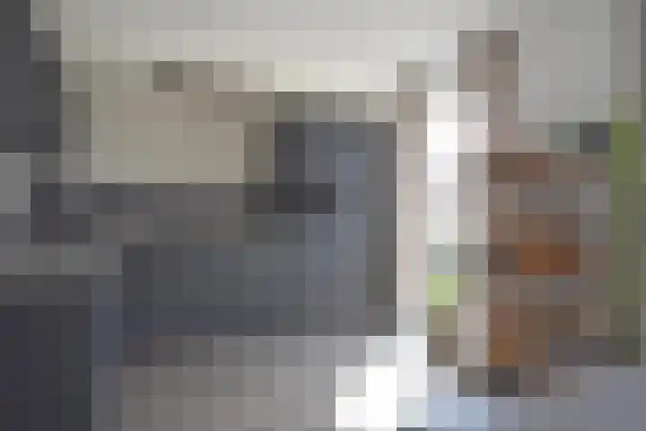 Sânhichte 25 Garyp thumbnail 19
