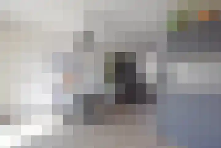 Sânhichte 25 Garyp thumbnail 21