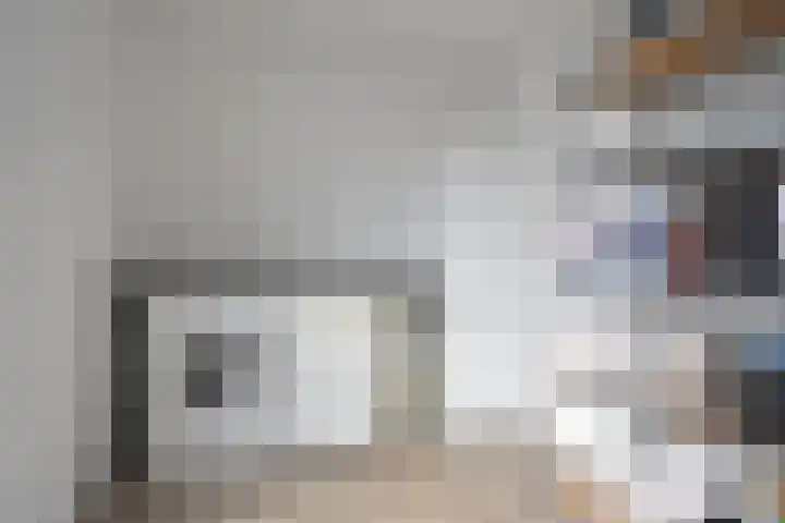 Sânhichte 25 Garyp thumbnail 23