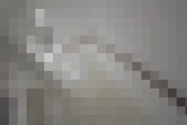 Sânhichte 25 Garyp thumbnail 26