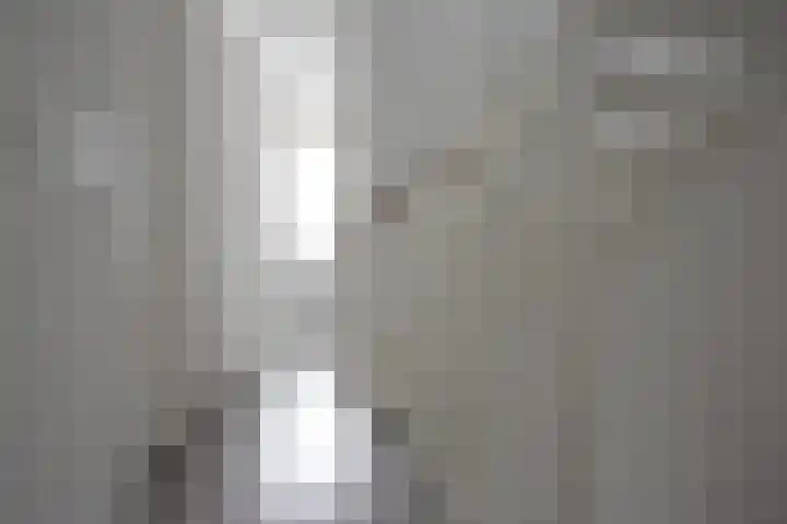 Sânhichte 25 Garyp thumbnail 27