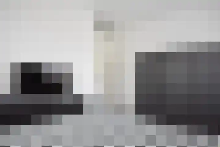 Sânhichte 25 Garyp thumbnail 34