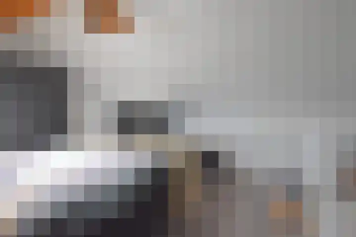 Sânhichte 25 Garyp thumbnail 42