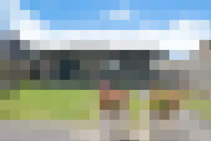 Sânhichte 25 Garyp thumbnail 5