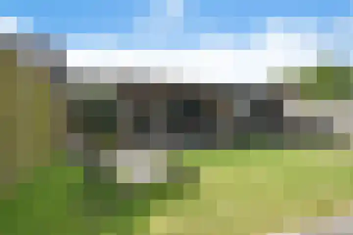 Sânhichte 25 Garyp thumbnail 6