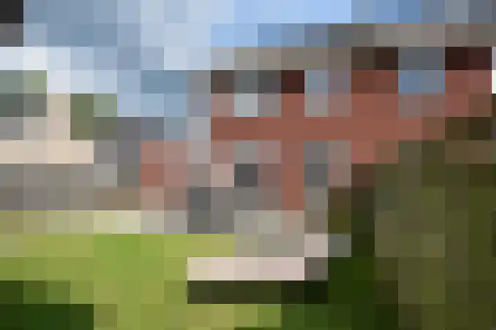 Sânhichte 25 Garyp thumbnail 8