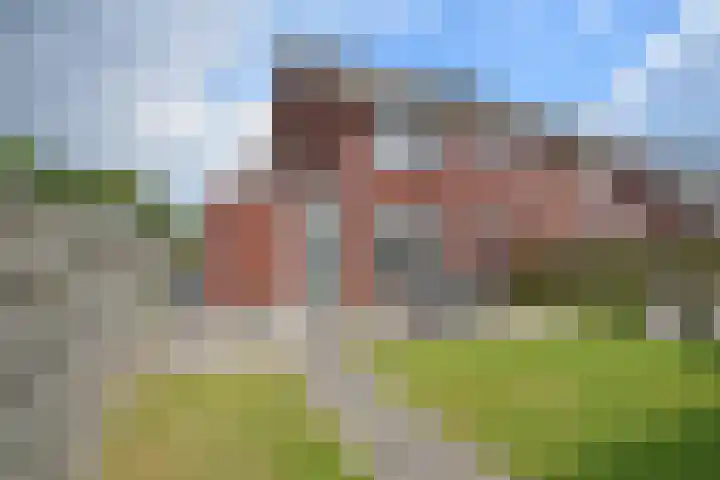 Sânhichte 25 Garyp thumbnail 9
