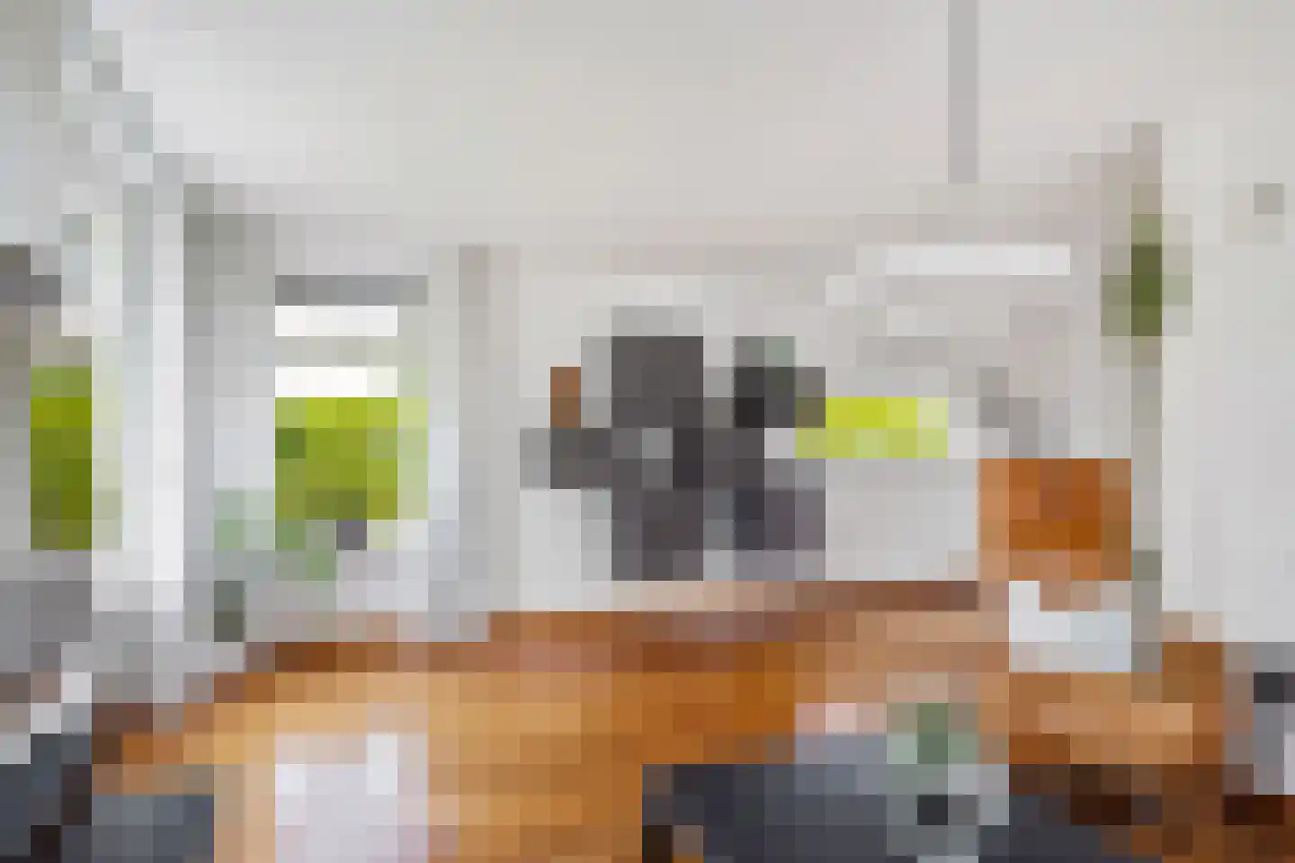 Sânkop 1 Drogeham thumbnail 13