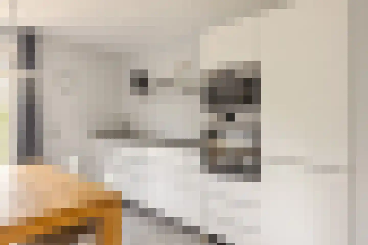 Sânkop 1 Drogeham thumbnail 17