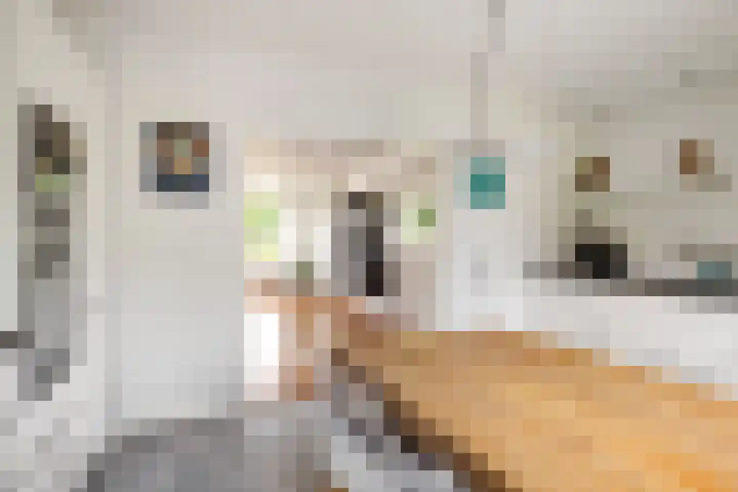 Sânkop 1 Drogeham thumbnail 19