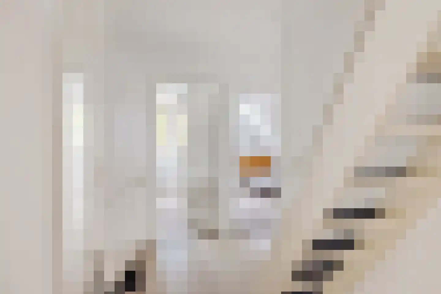 Sânkop 1 Drogeham thumbnail 22