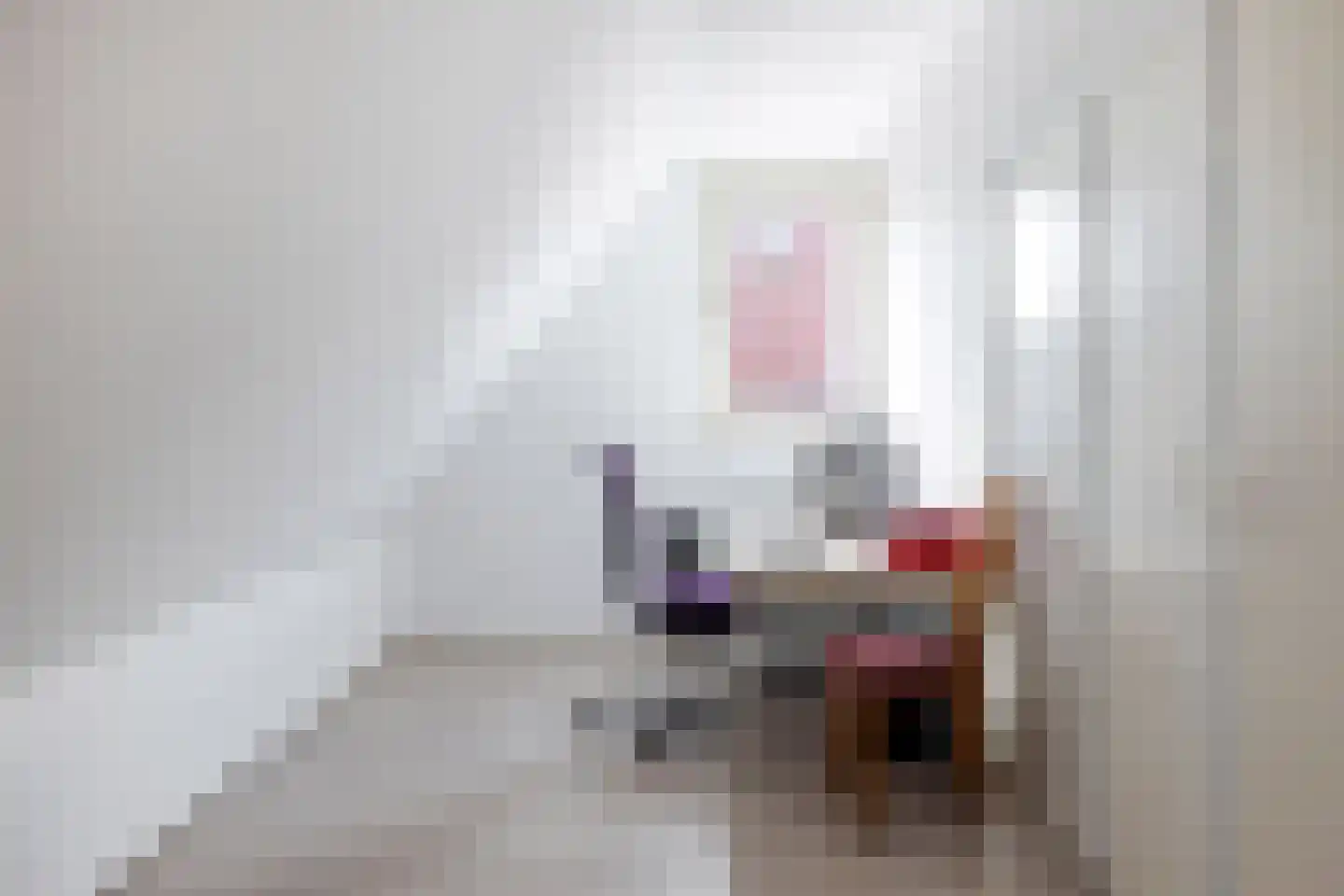 Sânkop 1 Drogeham thumbnail 23