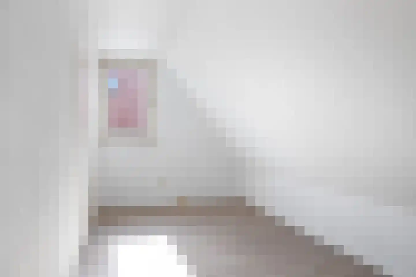 Sânkop 1 Drogeham thumbnail 25