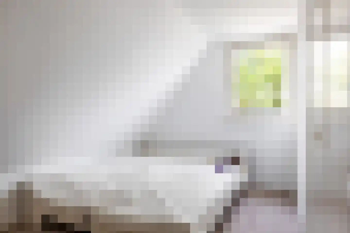 Sânkop 1 Drogeham thumbnail 27
