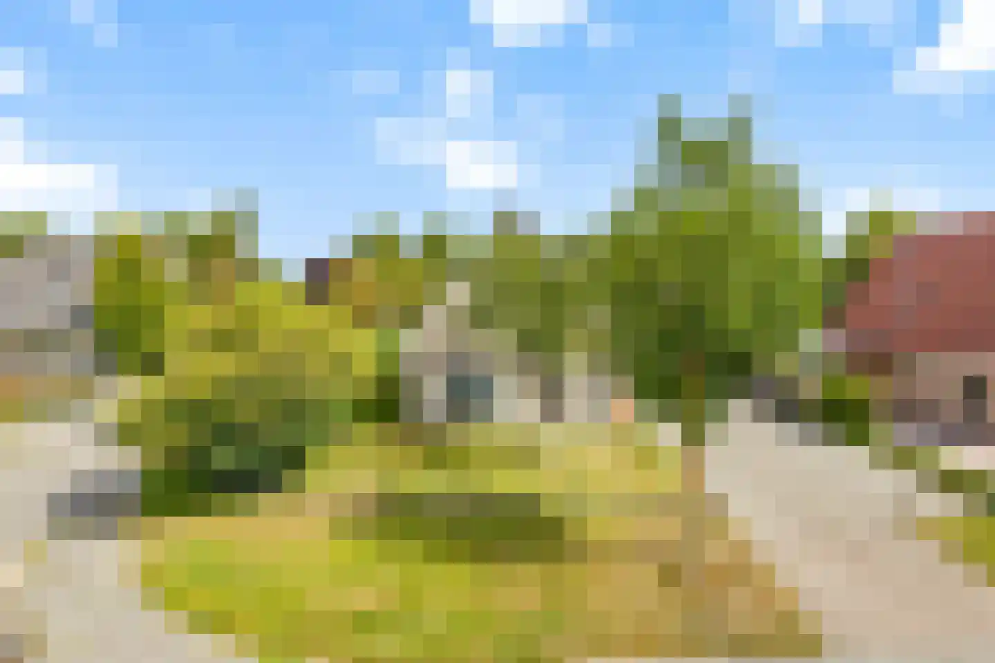 Sânkop 1 Drogeham thumbnail 37