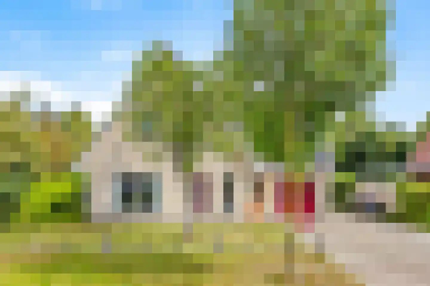 Sânkop 1 Drogeham thumbnail 6