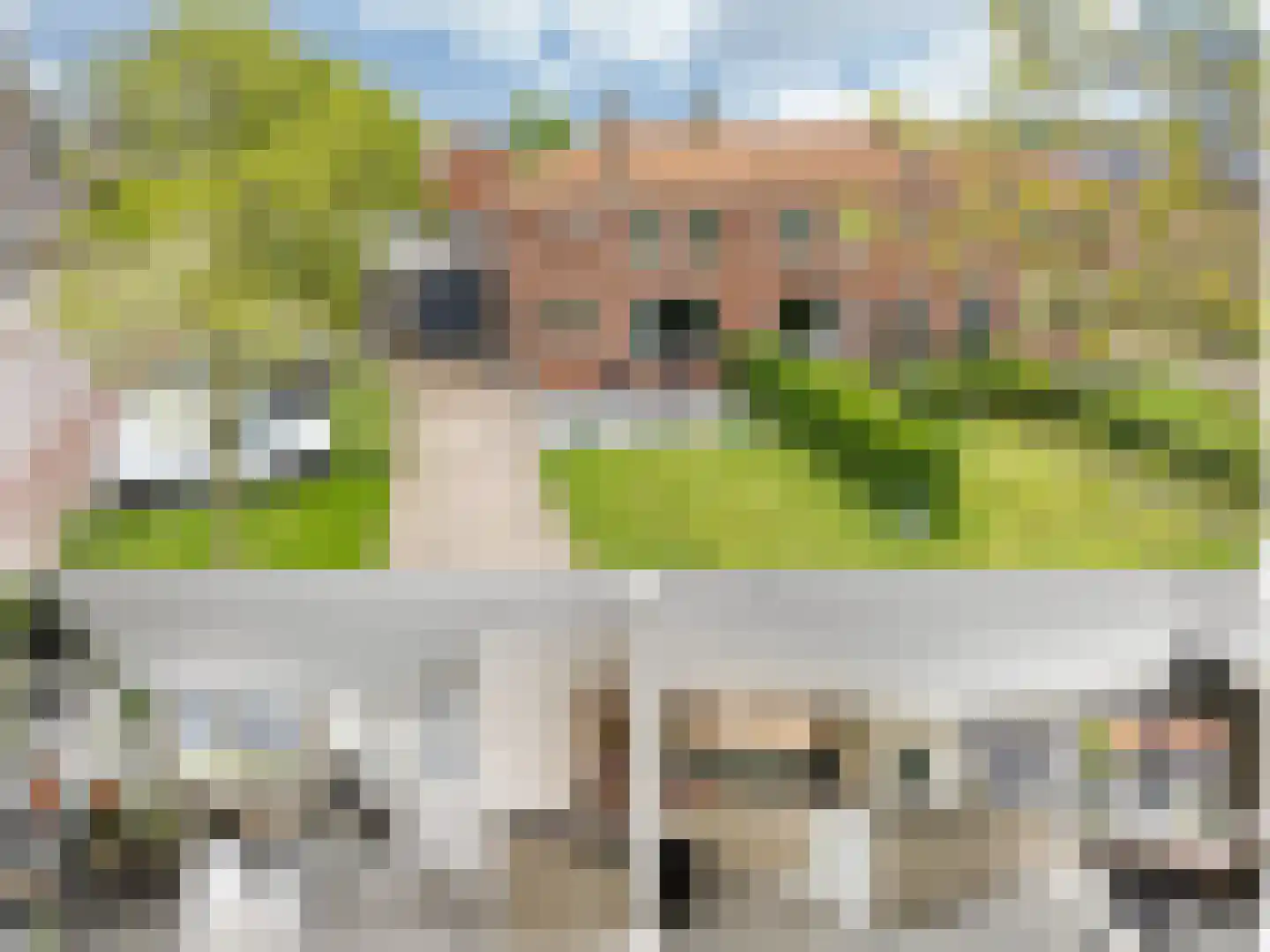 Sânleansterdyk 14 Reahûs