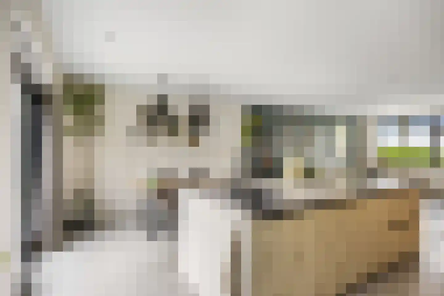Sânleansterdyk 14 Reahûs thumbnail 10