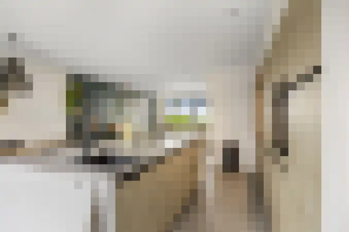 Sânleansterdyk 14 Reahûs thumbnail 11