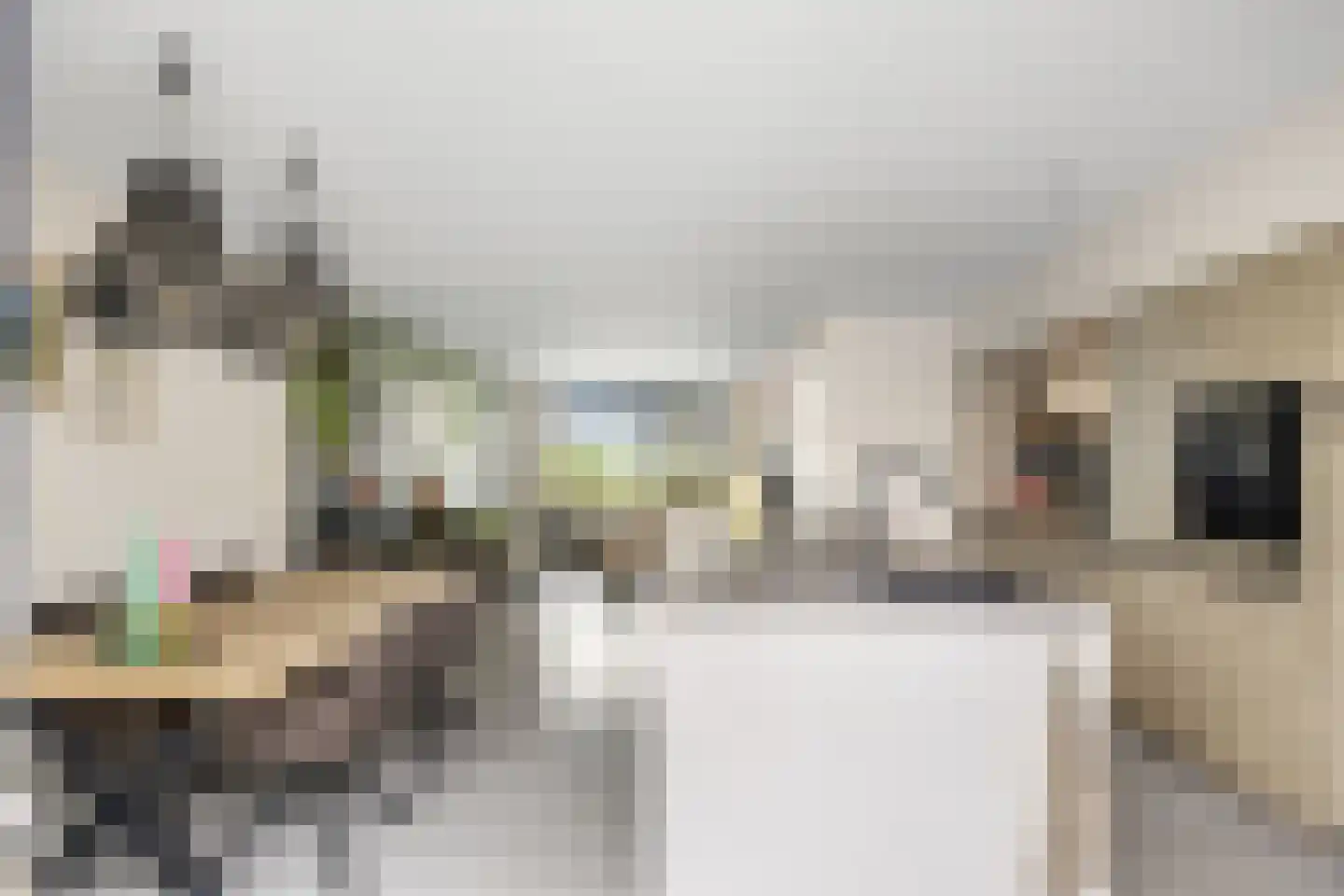 Sânleansterdyk 14 Reahûs thumbnail 12