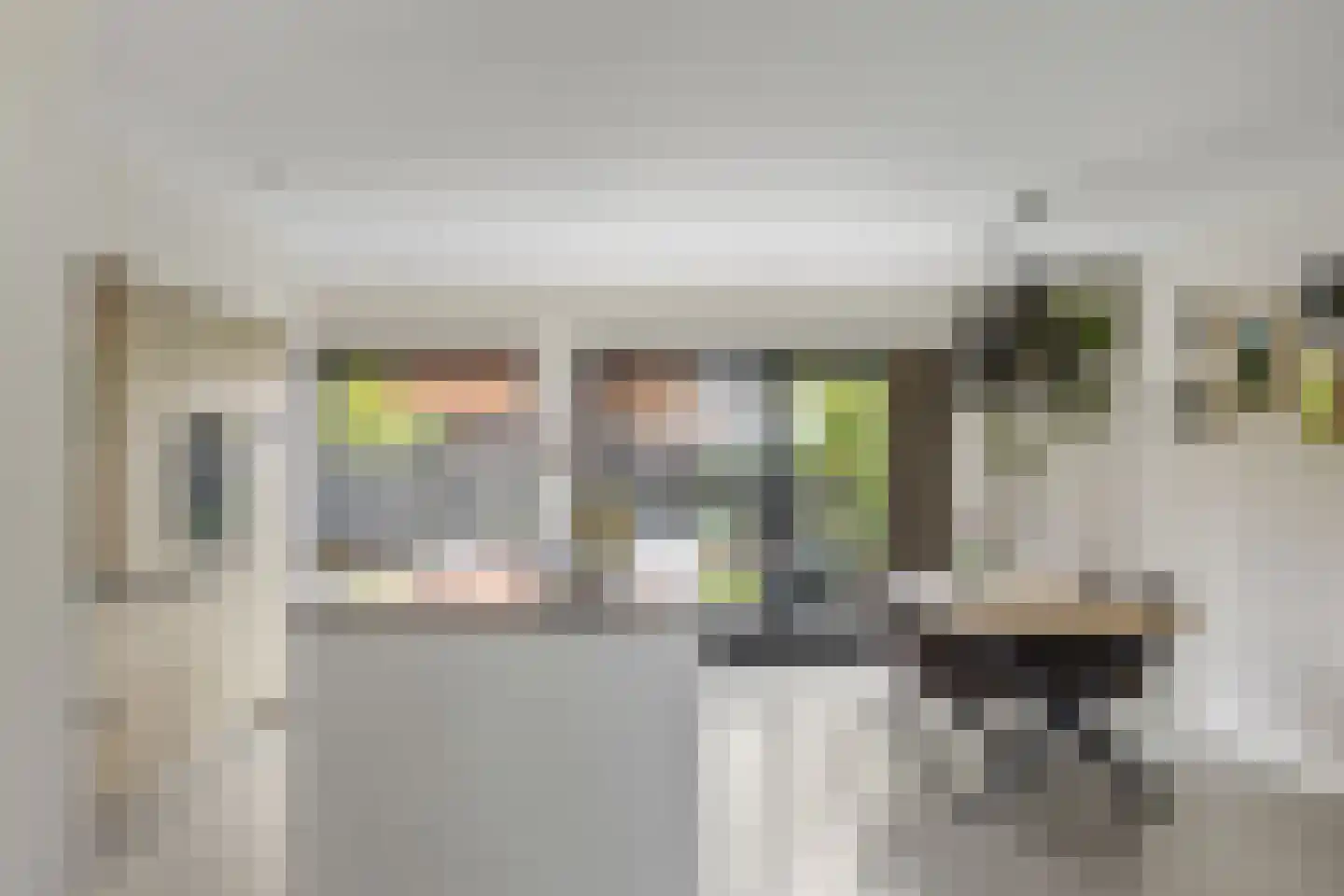 Sânleansterdyk 14 Reahûs thumbnail 14