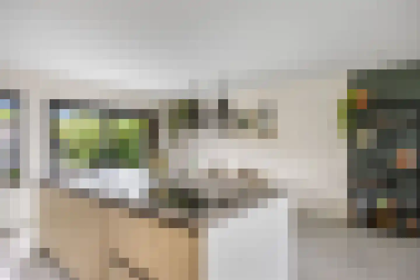 Sânleansterdyk 14 Reahûs thumbnail 15