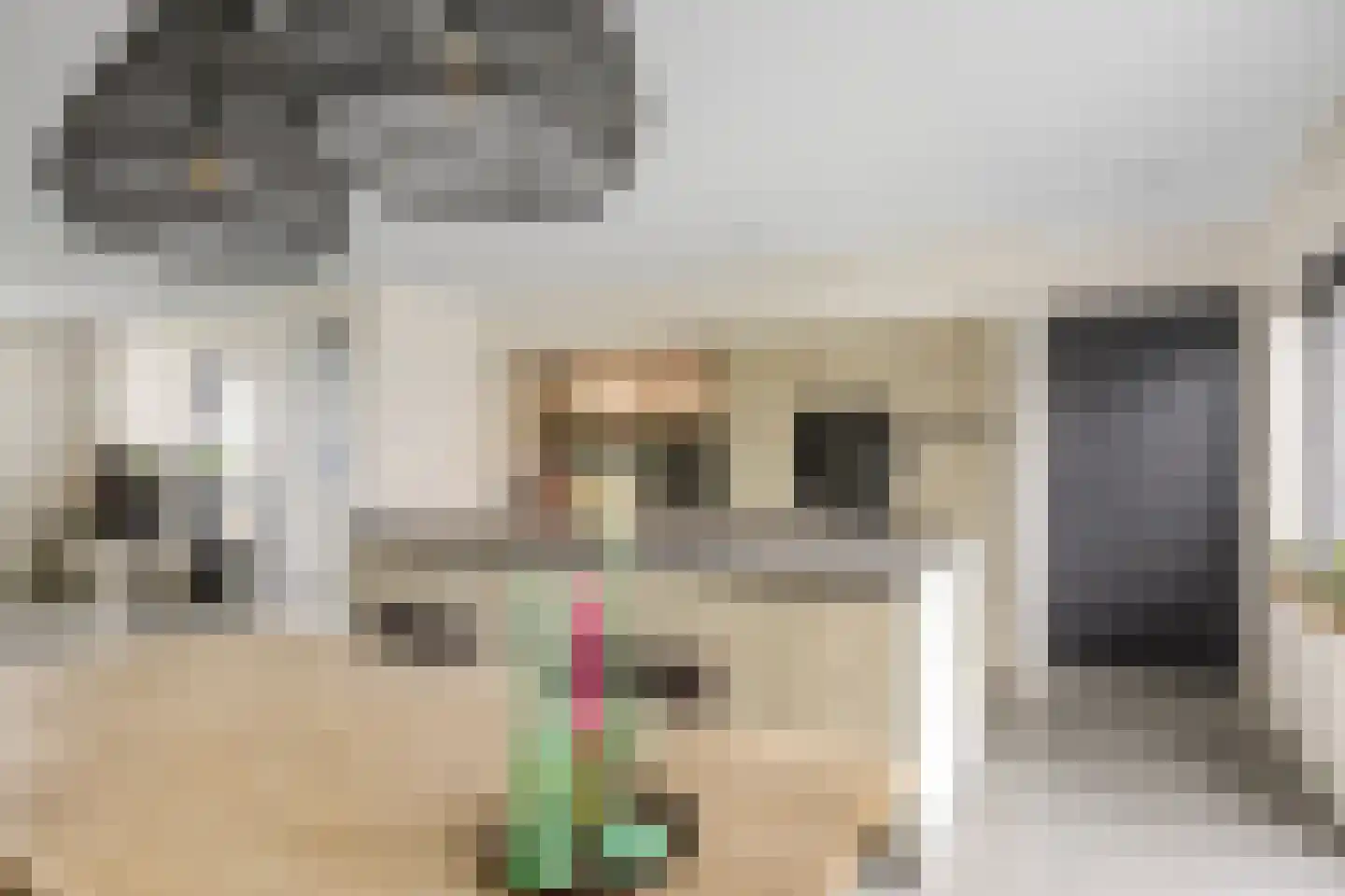 Sânleansterdyk 14 Reahûs thumbnail 16