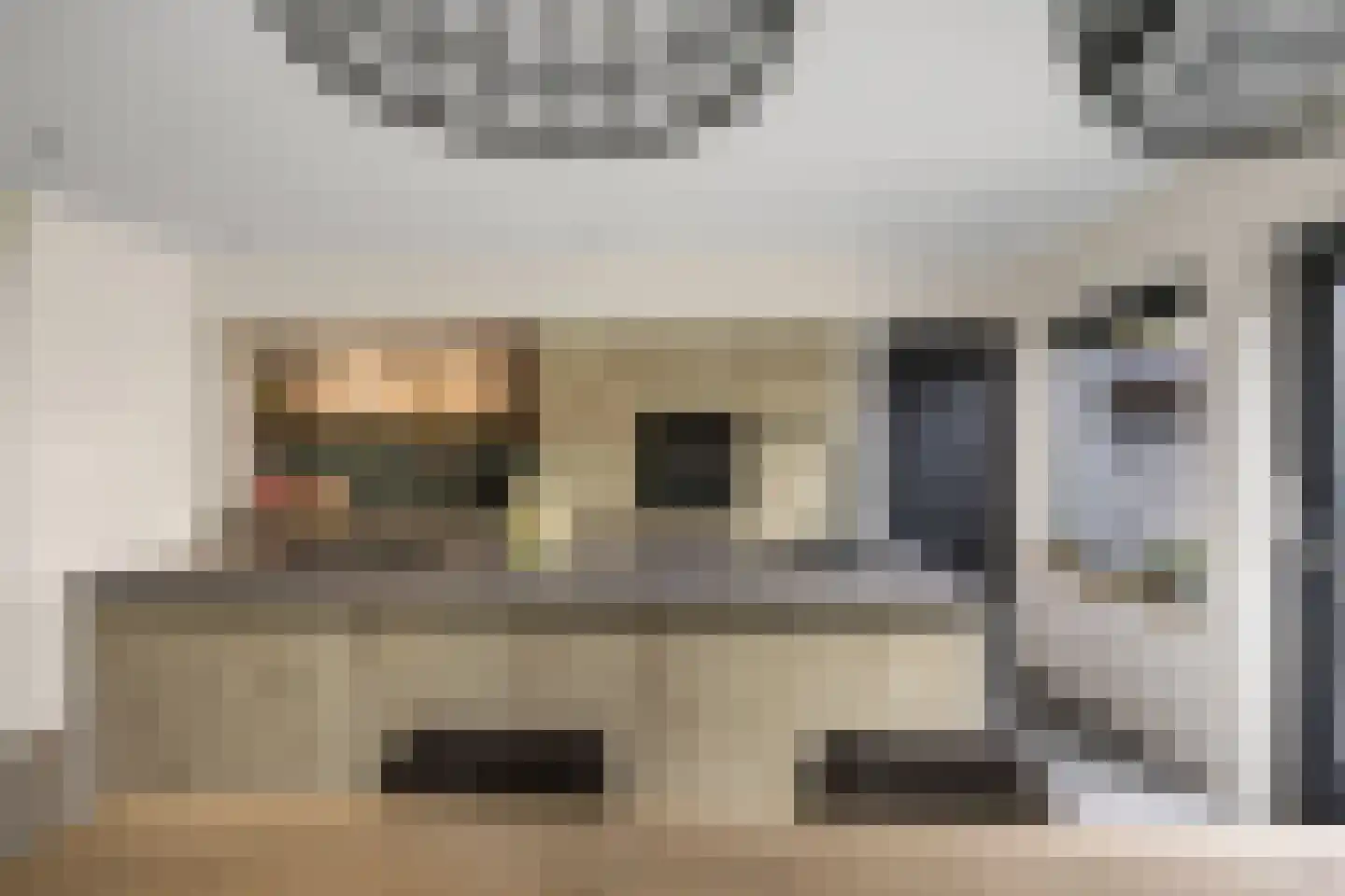 Sânleansterdyk 14 Reahûs thumbnail 17