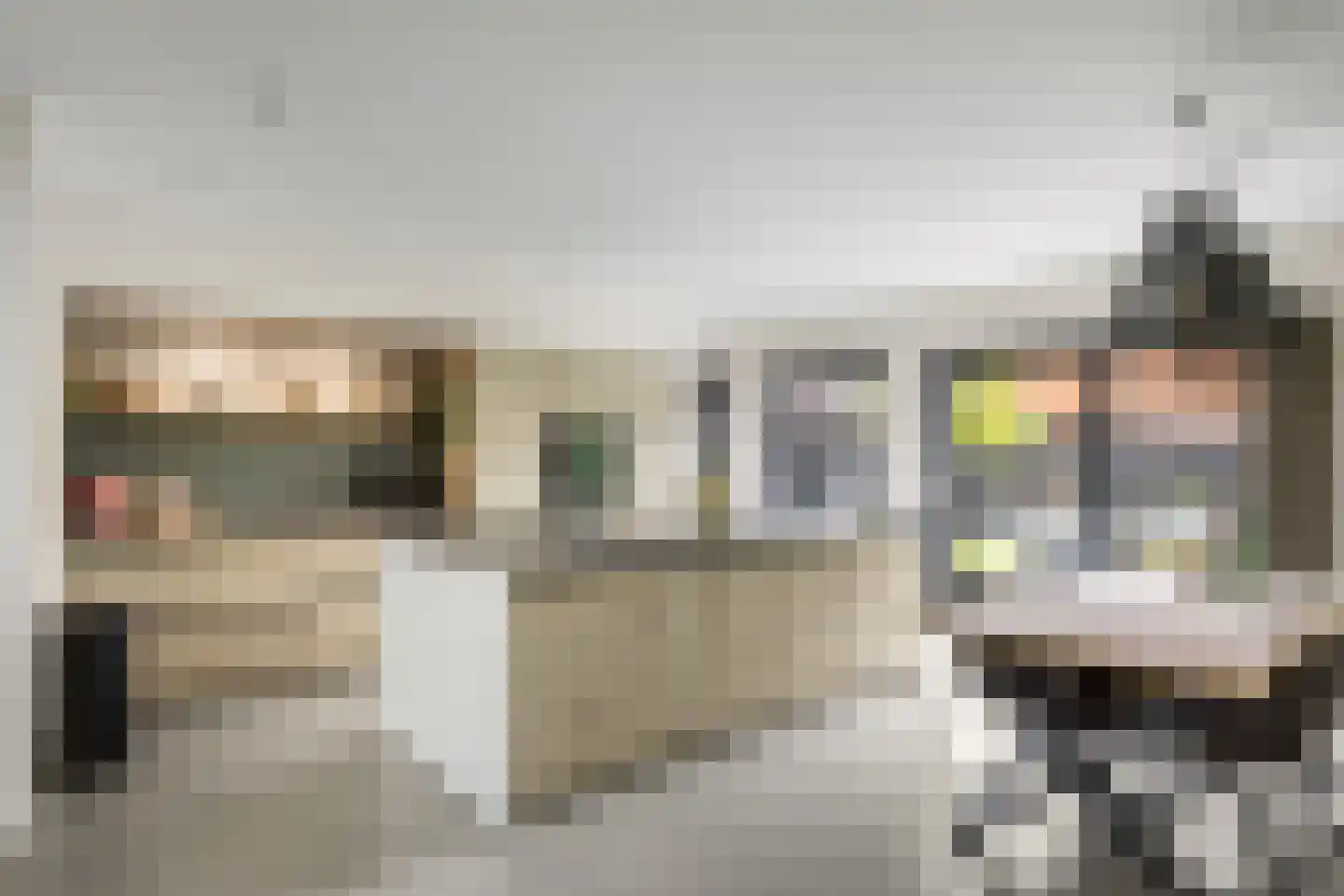Sânleansterdyk 14 Reahûs thumbnail 18