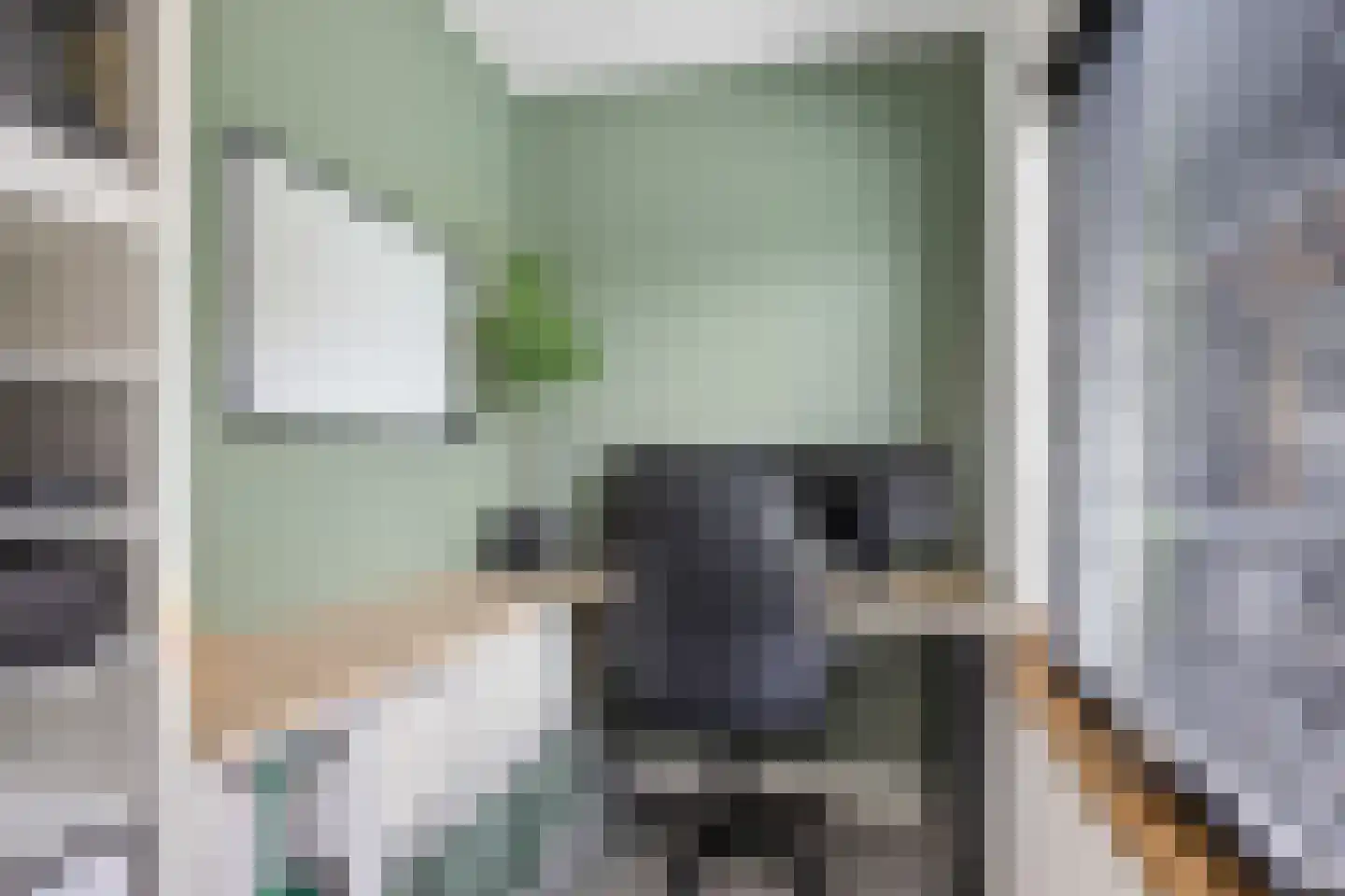 Sânleansterdyk 14 Reahûs thumbnail 20