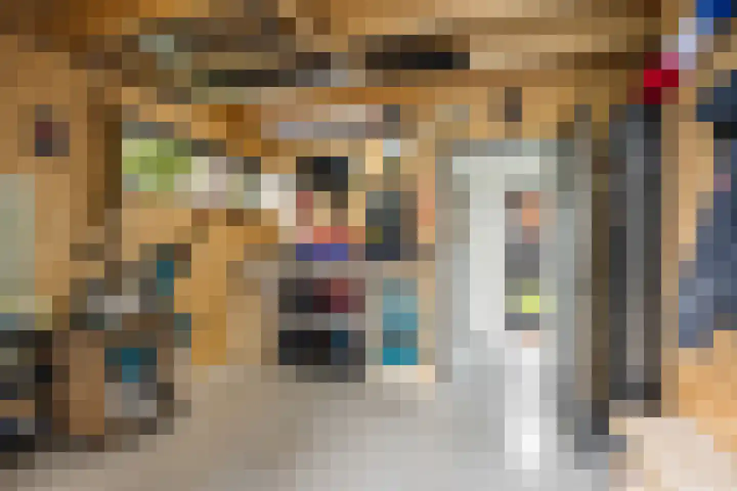 Sânleansterdyk 14 Reahûs thumbnail 21
