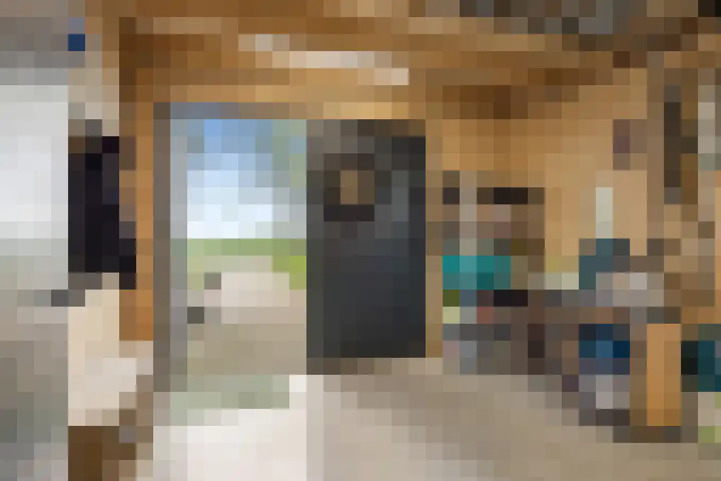 Sânleansterdyk 14 Reahûs thumbnail 22