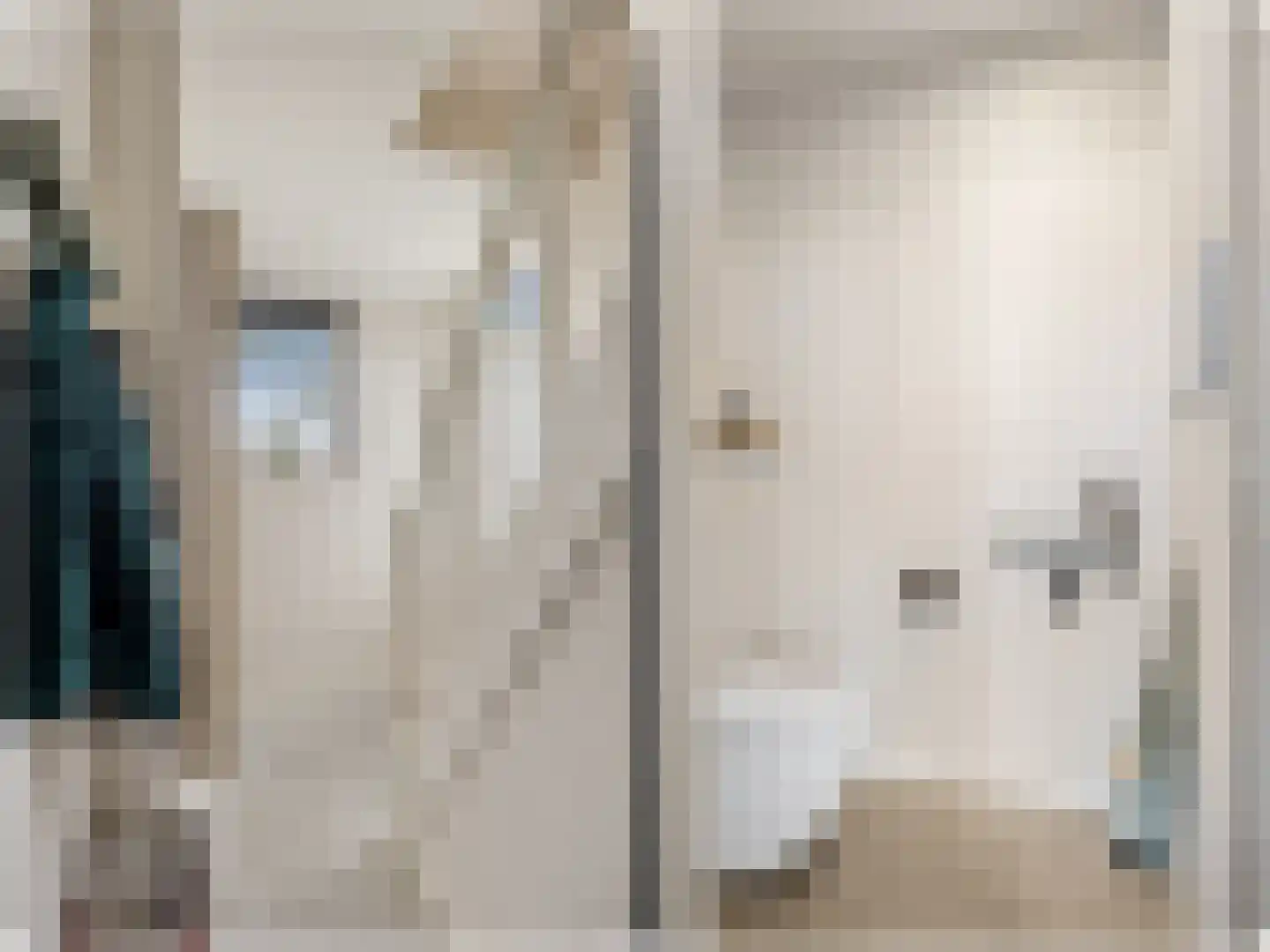 Sânleansterdyk 14 Reahûs thumbnail 23