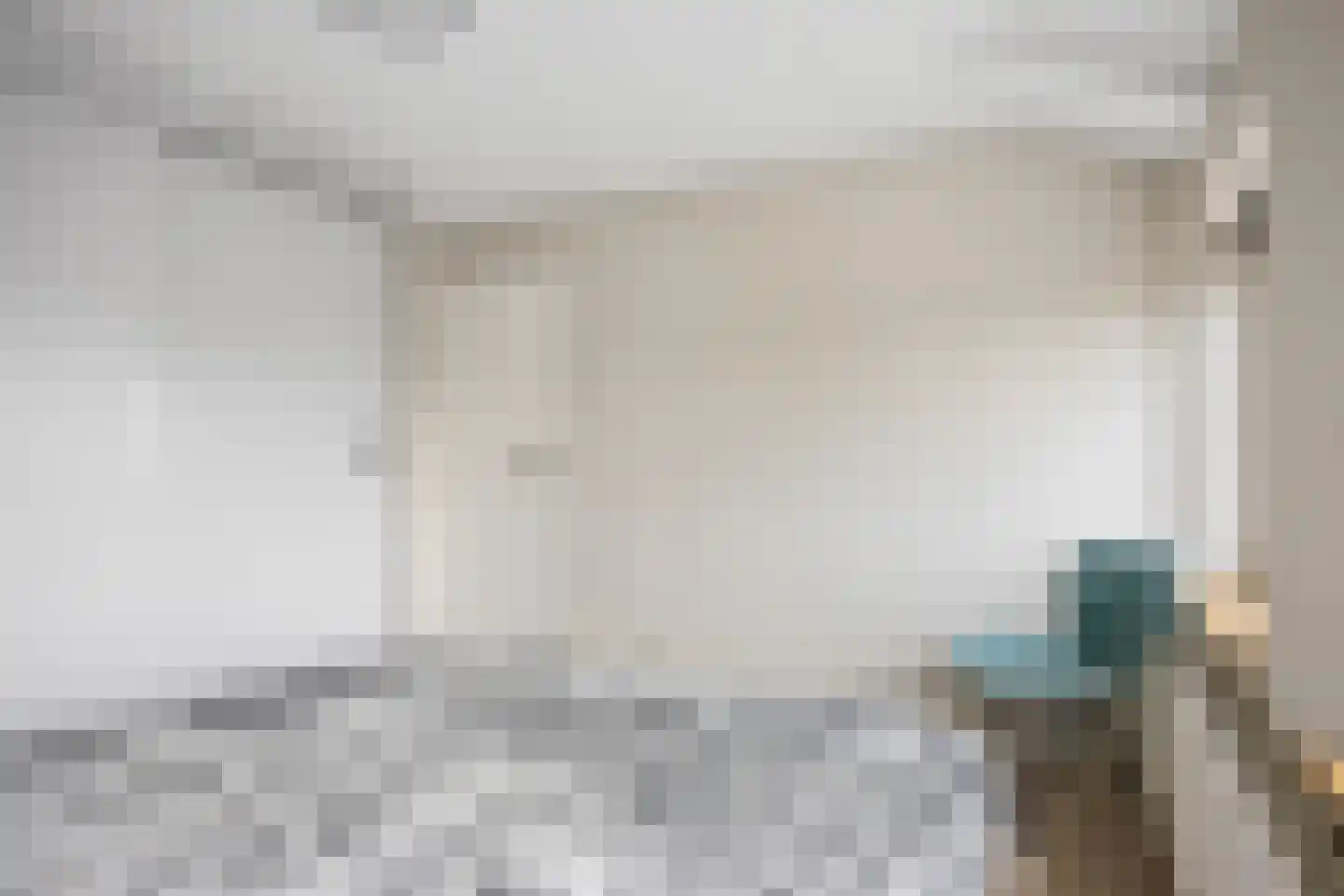 Sânleansterdyk 14 Reahûs thumbnail 26