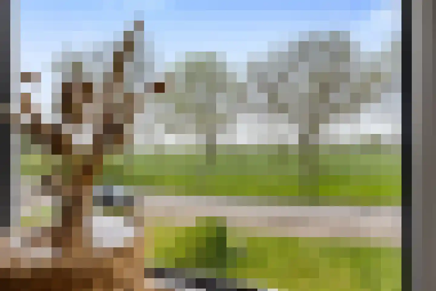 Sânleansterdyk 14 Reahûs thumbnail 30