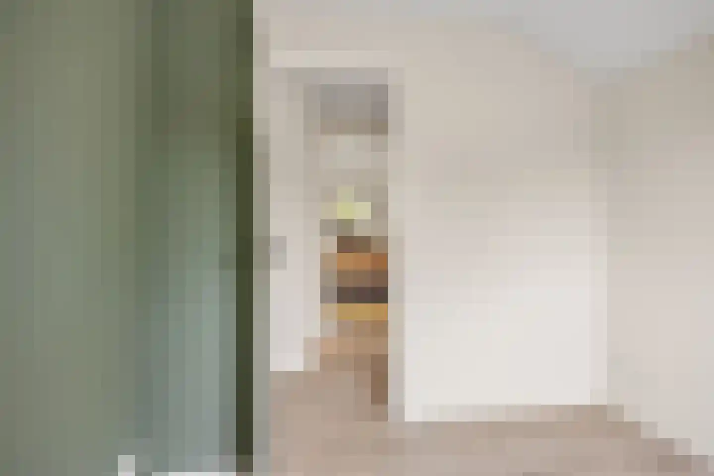 Sânleansterdyk 14 Reahûs thumbnail 31