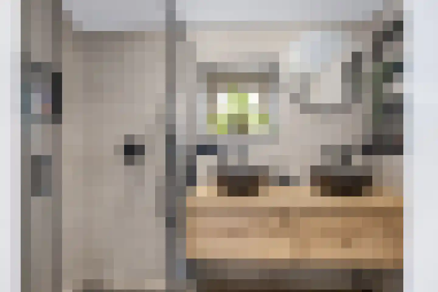 Sânleansterdyk 14 Reahûs thumbnail 32