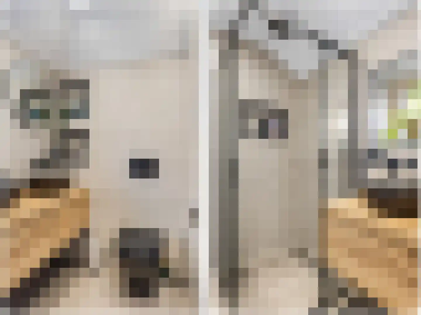 Sânleansterdyk 14 Reahûs thumbnail 33