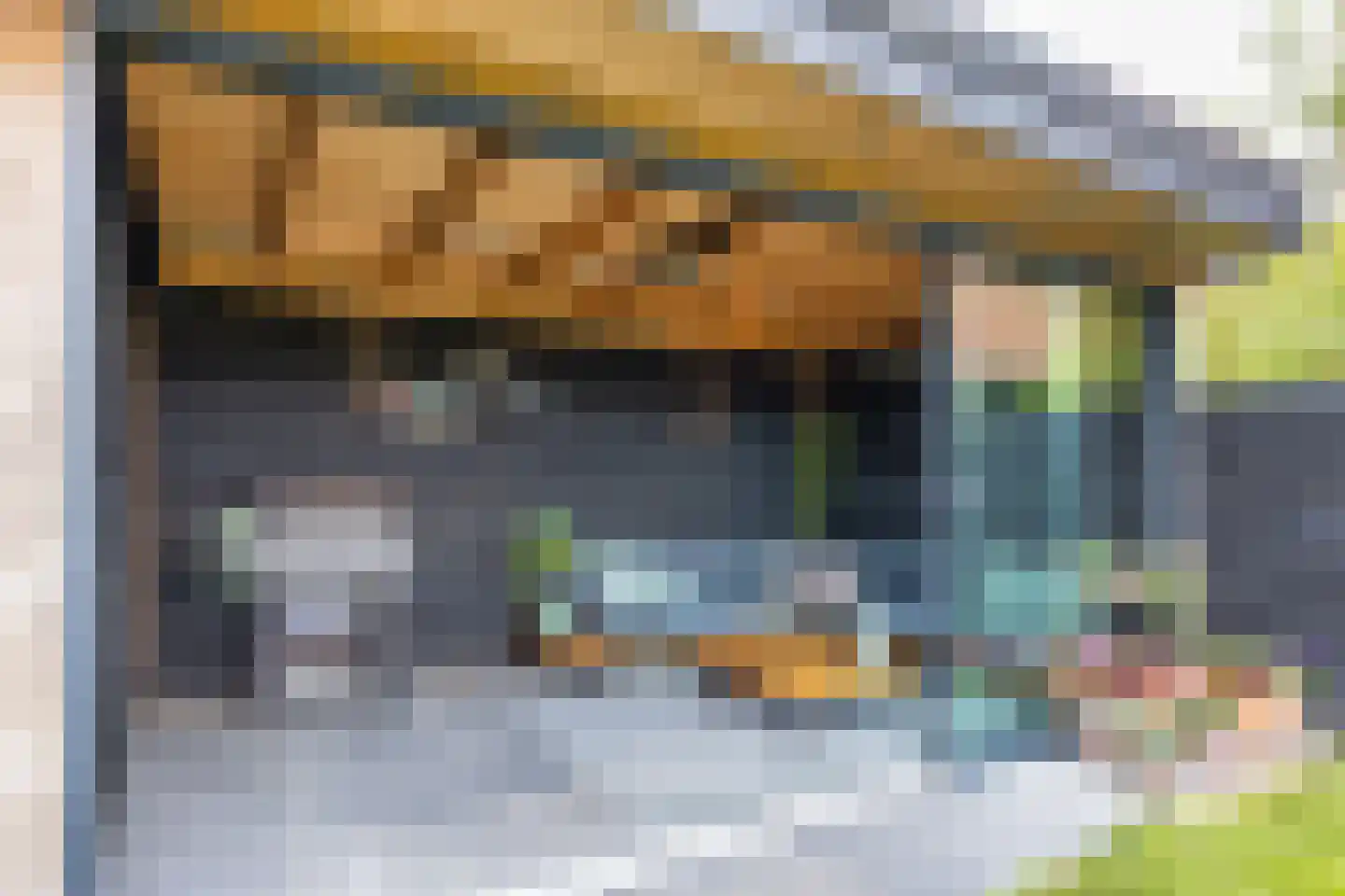 Sânleansterdyk 14 Reahûs thumbnail 39