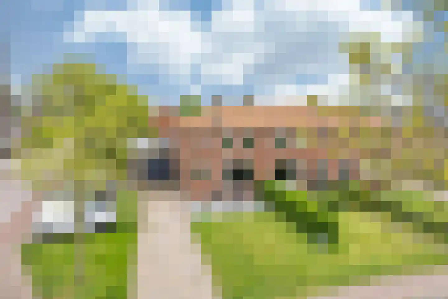 Sânleansterdyk 14 Reahûs thumbnail 47
