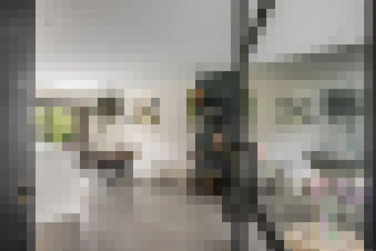 Sânleansterdyk 14 Reahûs thumbnail 5